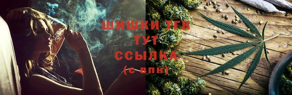 шишки Алексин