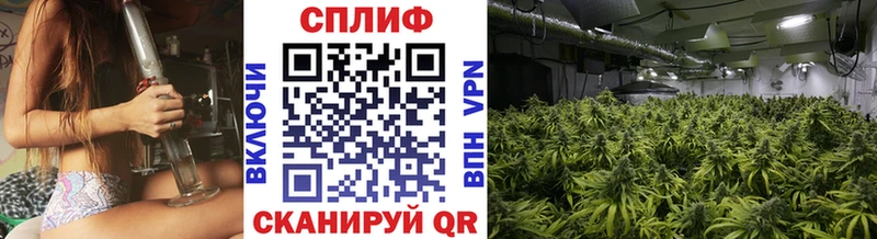 Бошки Шишки OG Kush закладка Хадыженск